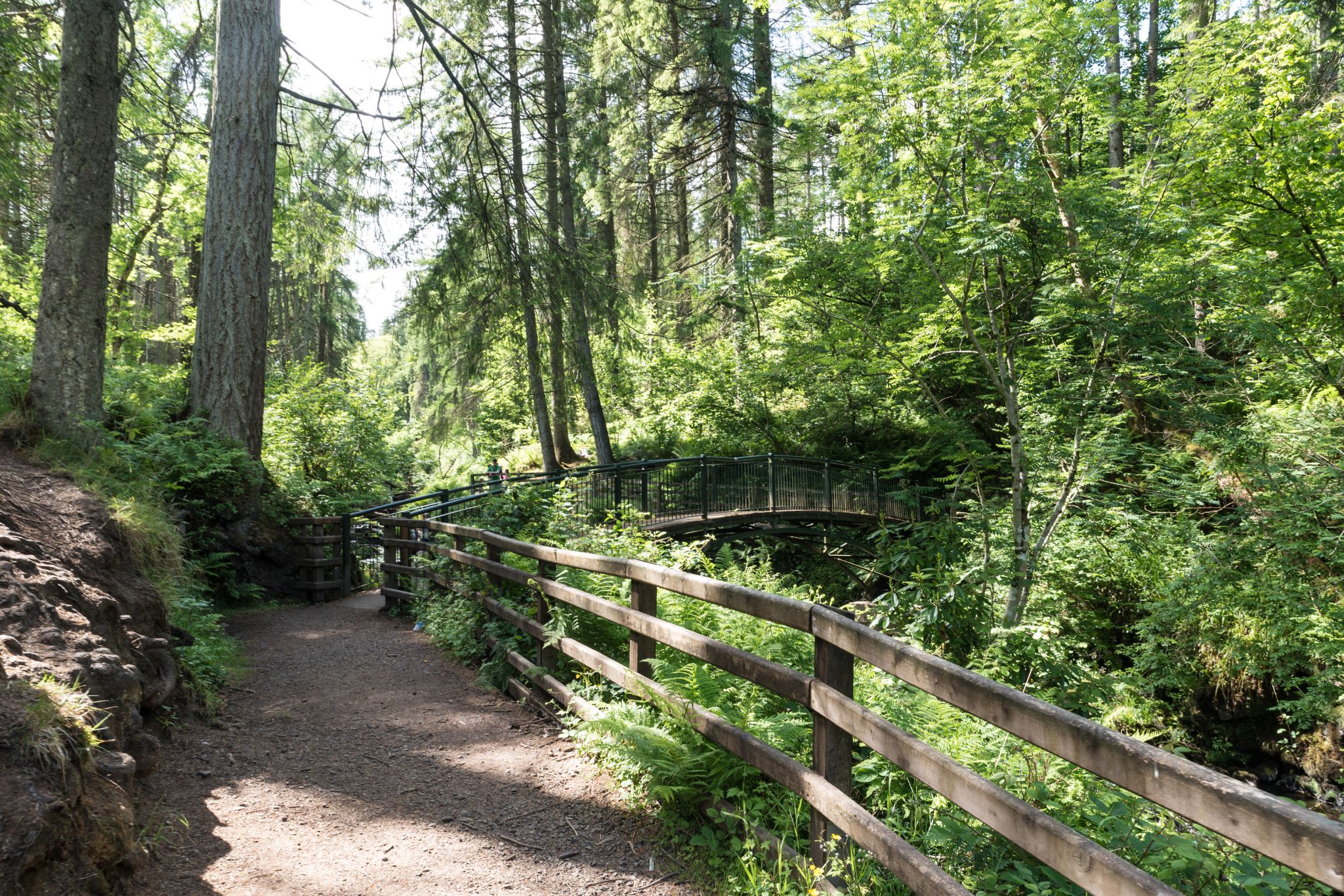 Glenariff Forest Park (1)