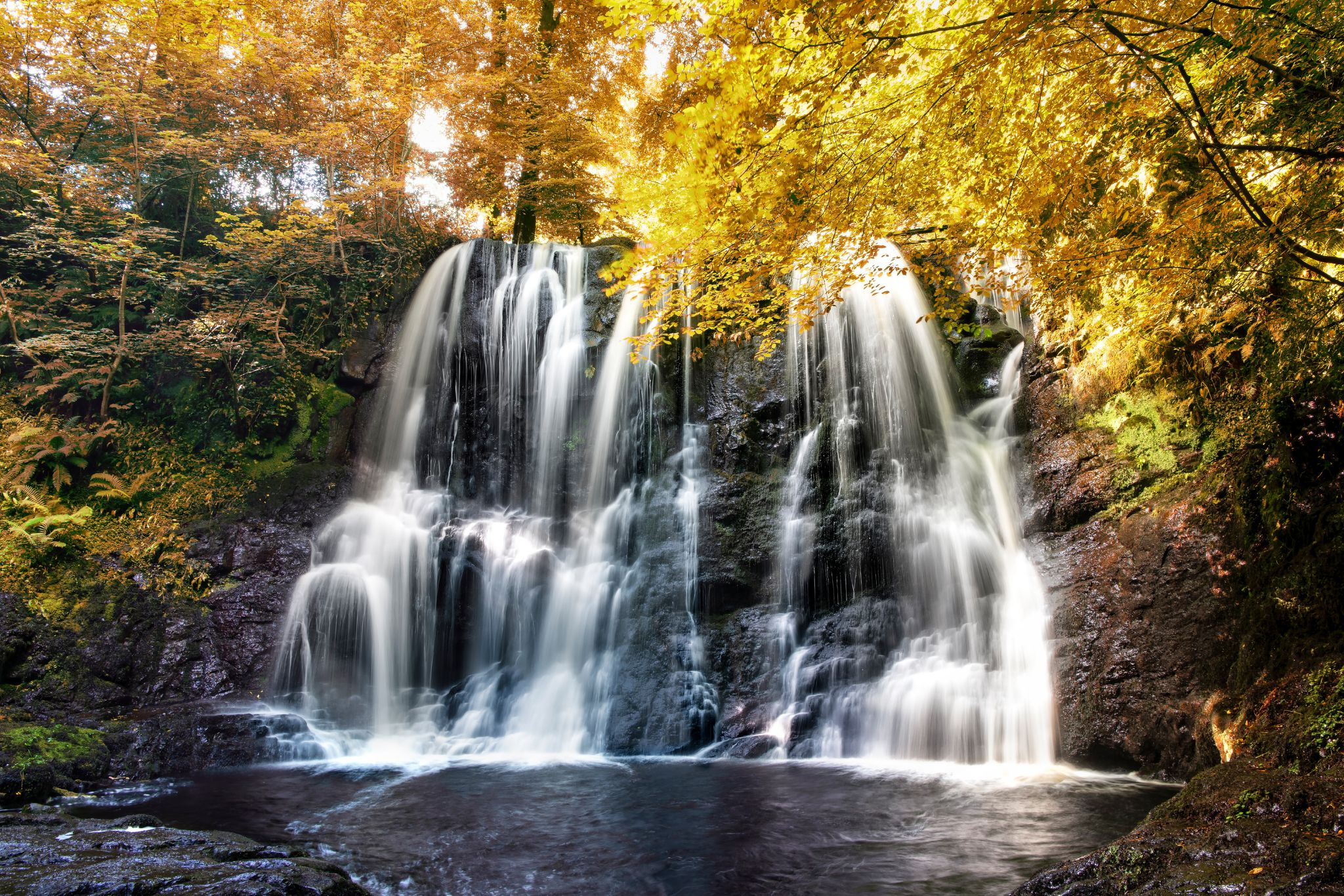 Glenariff Forest Park (2)
