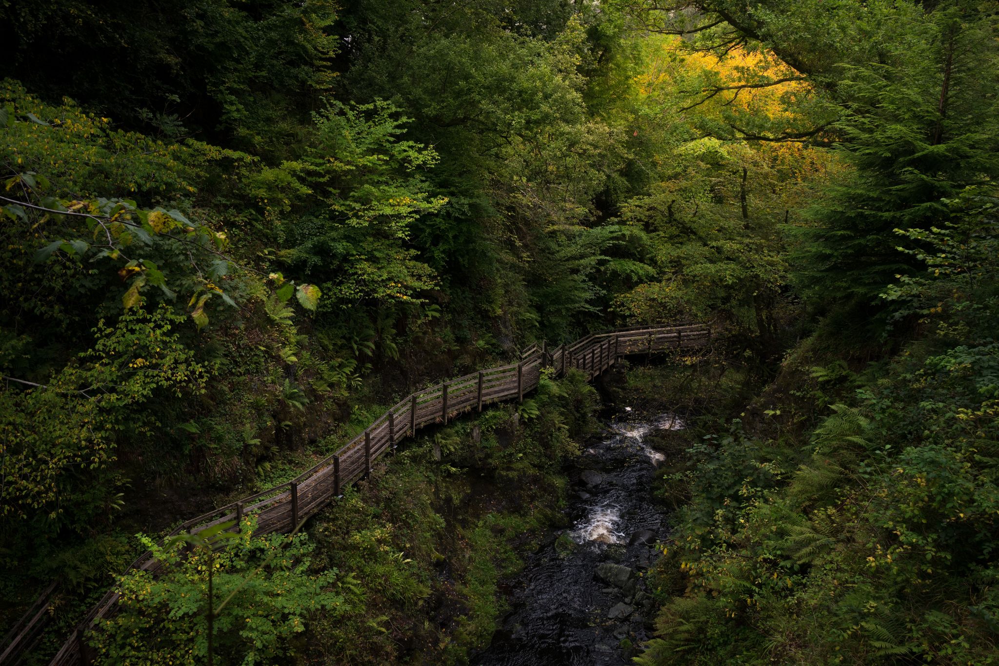 Glenariff Forest Park (3)