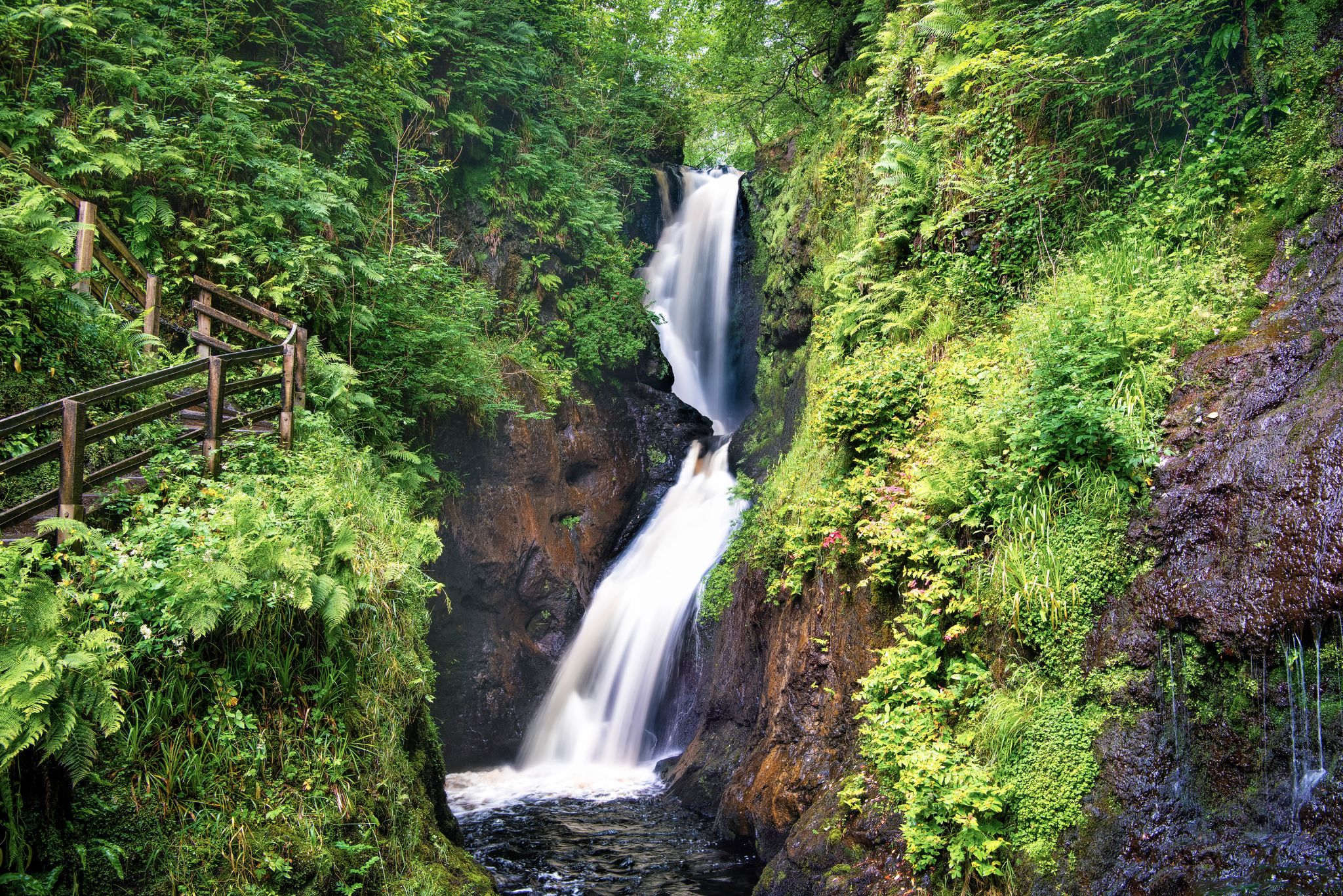 Glenariff Forest Park